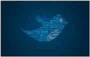 webassets/typo-twitt-bird.jpg